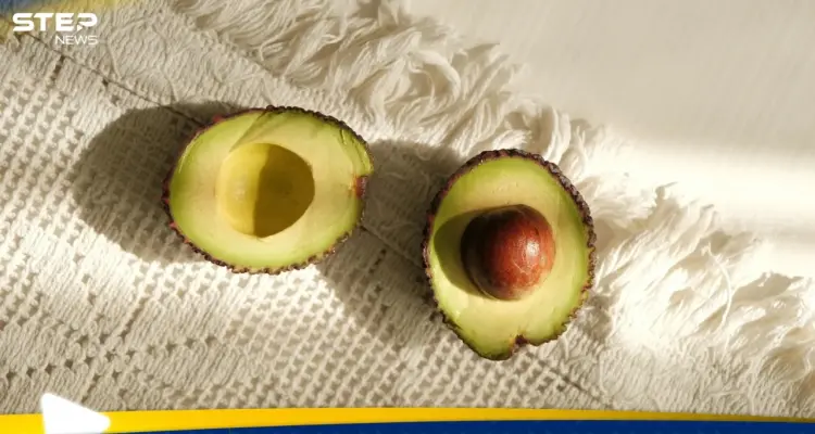 الأفوكادو مساءً.. غذاء يدعم النوم والهضم: أخبار