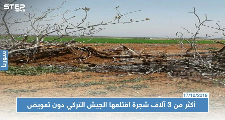 سوريون خسروا أراضيهم وأشجارهم في كلجبرين بريف حلب بسبب الجيش التركي