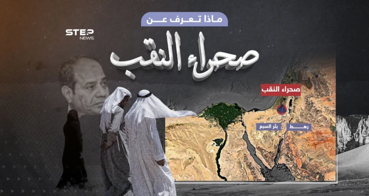 بعد تحدث السيسي عنها ... ما هي صحراء النقب