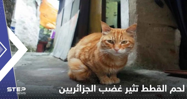غضب جزائري على وسائل التواصل بعد بيع جزارين لحم القطط على أنها أرانب!