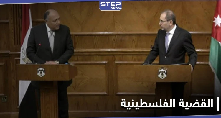 في لقاءٍ تشاوري ثلاثي.. مصر والأردن يوضحان طريق حل القضية الفلسطينية