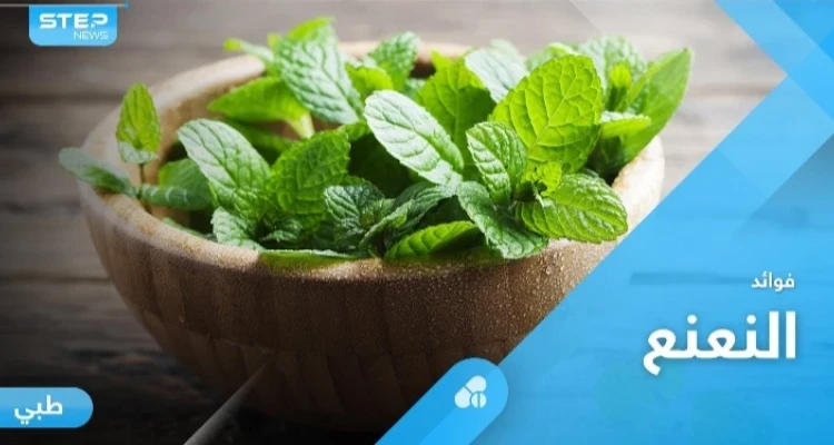 أكثر النباتات العلاجية شعبية حول العالم.. النعنع وفوائد كثيرة لا تحصى