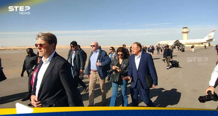 وفد من مجلس الأمن الدولي يصل مصر.. ما مهمته؟