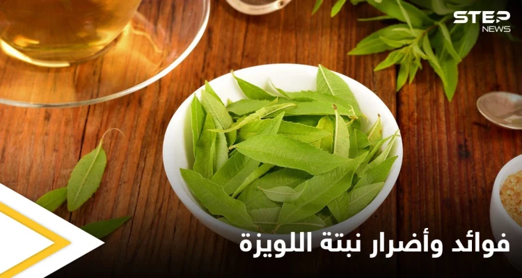 نبتة اللويزة لعلاج الربو وغيره من الأمراض وتحذيرات للمرأة الحامل