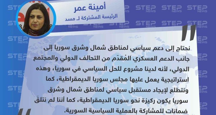 الرئيسة المشتركة ل "مسد": لدينا مشروع للحل السياسي في سوريا لكن لم نتلقَ ضمانات للمشاركة