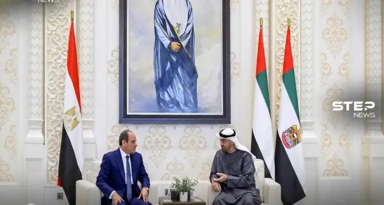 صورة تجمع الرئيس المصري عبد الفتاح السيسي والشيخ محمد بن زايد ، خلال لقاء ثنائي
