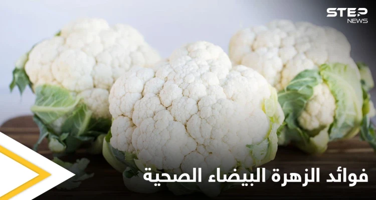 مقاومة للسرطان وتحسن عمل الجهاز العصبي.. تعرف على فوائد الزهرة البيضاء الصحية