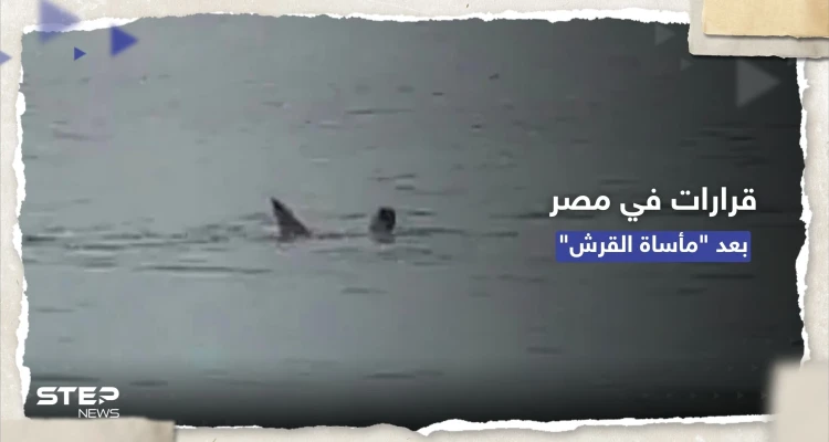 بعد مأساة القرش.. قرارات فورية في مصر وتحذيرات من روسيا