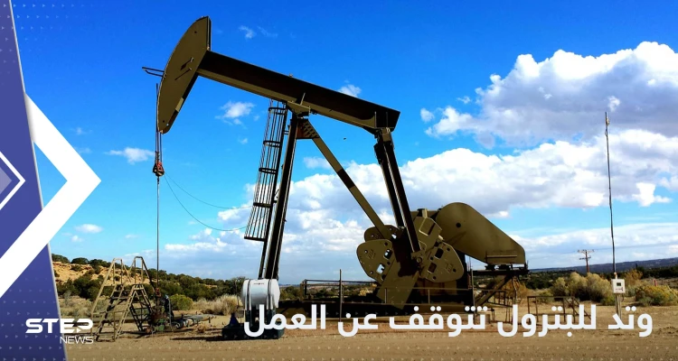 شركة وتد للبترول تعلن التوقف عن العمل شمال سوريا وتكشف الأسباب
