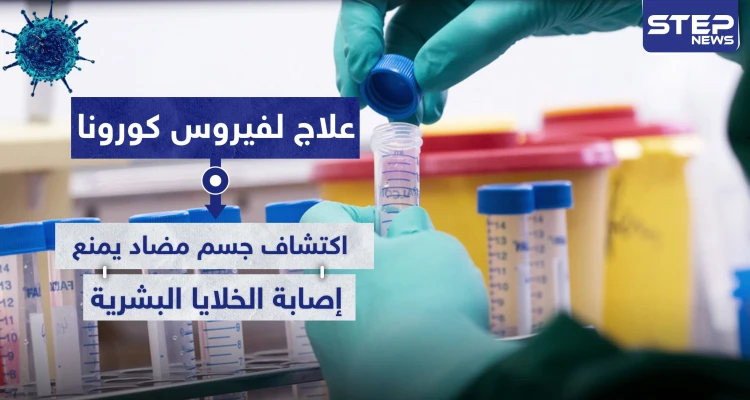 علاج لفيروس كورونا.. اكتشاف جسم مضاد يمنع إصابة الخلايا البشرية
