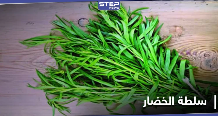 الطرخون عشبة عطرية.. فوائدها الغذائية والعلاجية للقلب والأمراض المزمنة