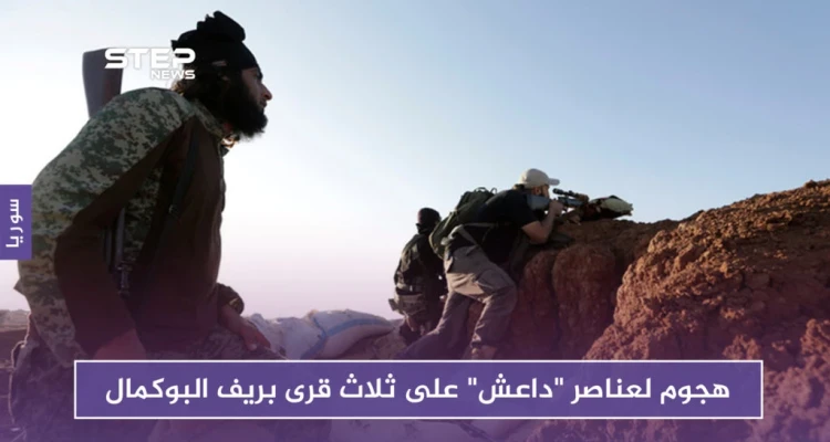 هجوم متزامن لعناصر "داعش" على ثلاث قرى بريف البوكمال.. وهذه نتيجته