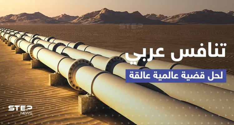 دولة عربية ثالثة تدخل على خط صراع المغرب والجزائر في قضية تؤرّق العالم