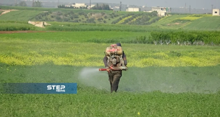 رش المبيدات الزارعة في ريف حماة: أخبار