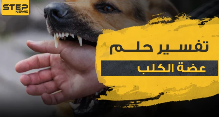 تفسير حلم عضة الكلب في المنام و4 دلالات في رؤيته للعامة في المنام