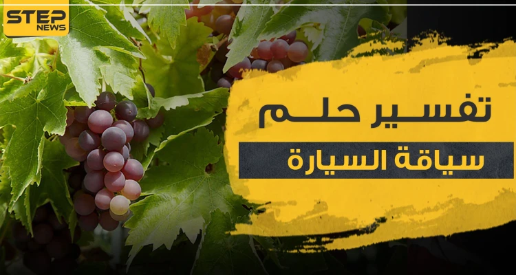 تفسير حلم رؤية أكل العنب..4 تفاسير مختلفة مع تفصيل أنواع العنب للرجال والنساء