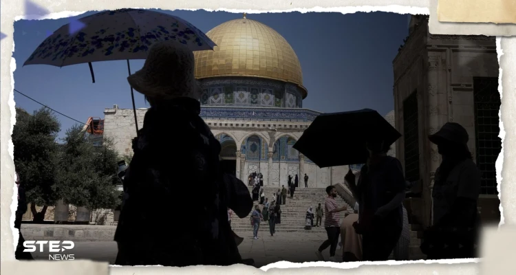 "لبناء هيكل في القدس".. 5 بقرات حُمر في إسرائيل تنذر بحرب دينية "لبناء هيكل في القدس".. 5 بقرات حُمر في إسرائيل تنذر بحرب دينية: أخبار