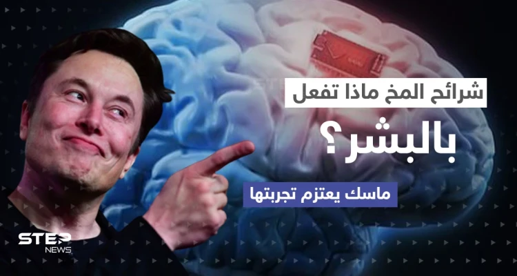 "تصنع المستحيل".. ماسك يعتزم تجربة شريحة المخ على البشر إليك ما قد يحدث (فيديو)