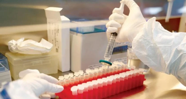 معلومات عن قرار بالإجماع من الأمم المتحدة حول لقاحات كورونا
