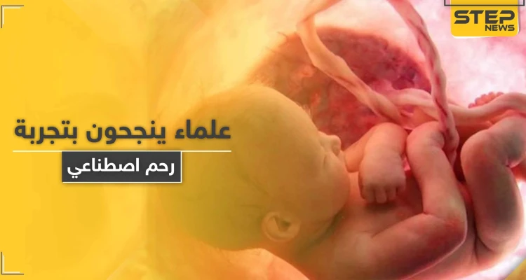 "يمكن مشاهدة تطور الجنين".. علماء ينجحون باختبار رحم اصطناعي
