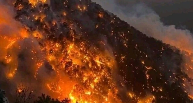 أردوغان يتوجه بالشكر لبوتين بسبب "حرائق تركيا" وملك عربي يبدي استعداده للمساعدة