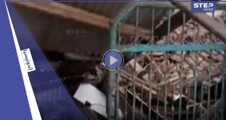 بالفيديو|| زلزال مدمر يطال مدارس إسلامية في إندونيسيا والسلطات تعلن ارتفاع عدد القتلى
