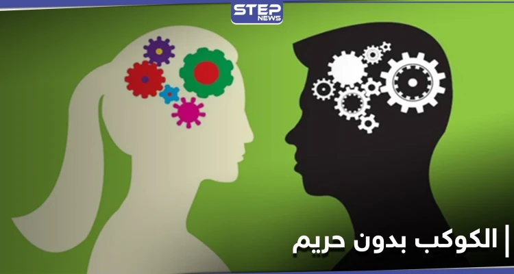 "الكوكب بدون حريم".. يشعل الحرب بين الرجال والنساء على منصات التواصل