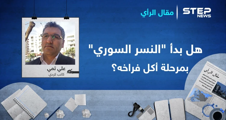 هل بدأ "النسر السوري" بمرحلة أكل فراخه؟