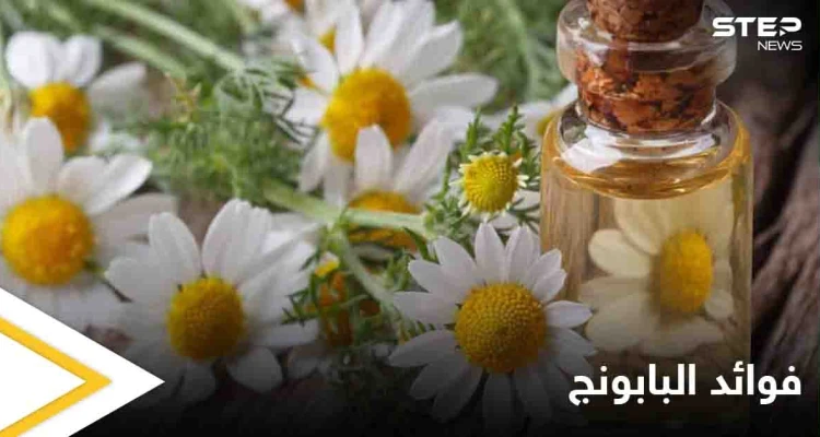 فوائد البابونج التي عليك معرفتها والمعتقدات الخاطئة عنه وإشاعة المغطس الشافي