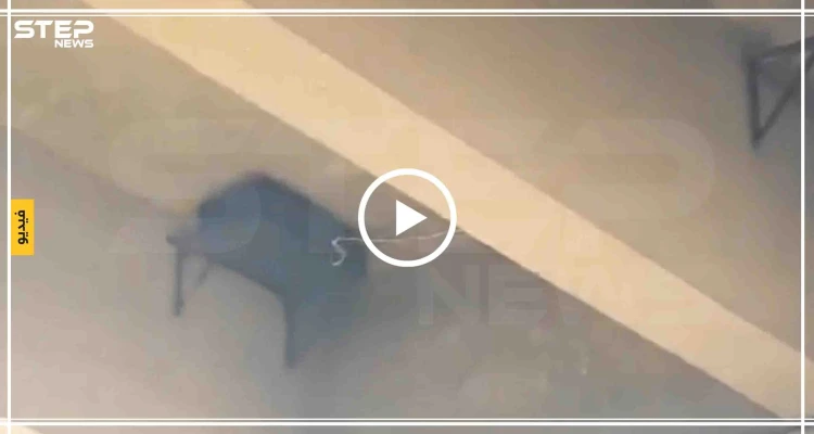 فيديو || الجيش التركي يفكك ألغامًا زرعتها ميليشيا "قسد" تحت جسر بشمال سوريا
