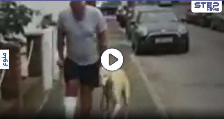 بالفيديو|| بريطاني يدفع 300 جنيه بحثاً عن مرض كلبه ليتفاجأ بأنه مجرد "وفاء وتعاطف"