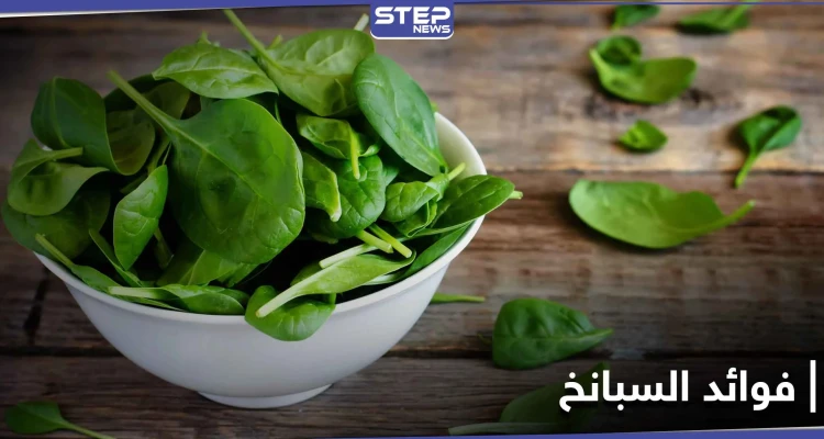 ماذا تعرف عن طعام "باباي" المفضل.. 10 فوائد للسبانخ أهمها نقصان الوزن