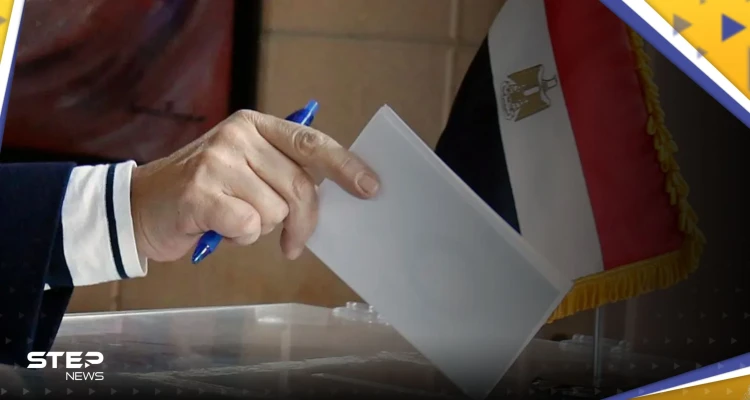 برلماني مصري يكشف عن "مفاجأة" تتعلق بالانتخابات الرئاسية في مصر