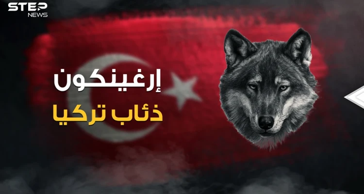 رضعوا حليب الذئاب .. ماذا تعرف عن منظمة إرغينكون وقصة الذئبة التي أنجبت الأتراك!