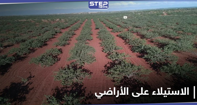 مزاد علني يستهدف أراضي المهجرين و"الأموات" بريف حماة الجنوبي
