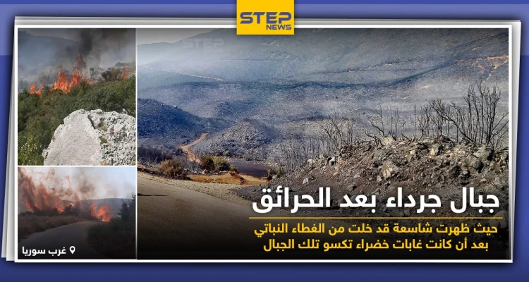 جبال خالية من النباتات عقب الحرائق التي التهمتها جراء ارتفاع درجات الحرارة: أخبار