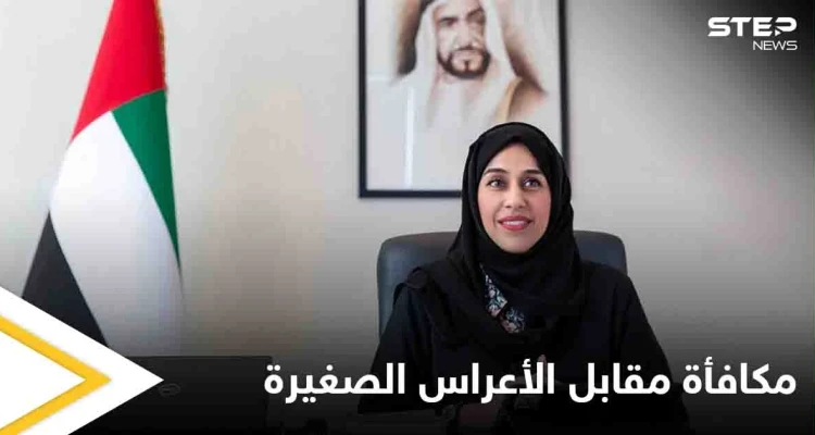  "عرس صغير" مقابل منحة كبيرة.. قرار جديد في الإمارات