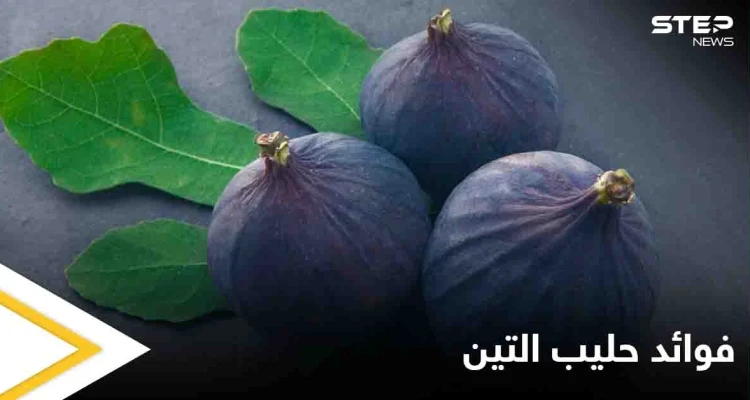 ما هو حليب التين مما يتكون وفوائده الصحية الكثيرة إليك كل ما عليك معرفته عنه