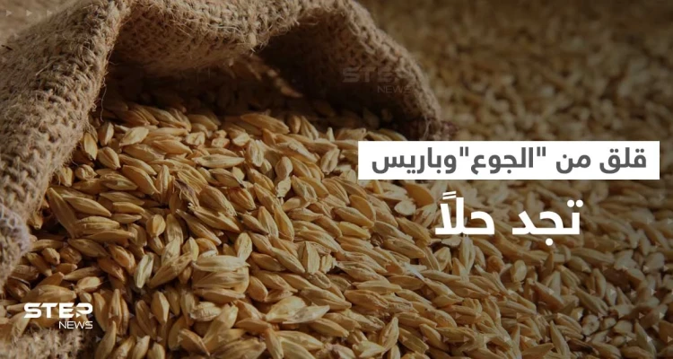 قلق الجوع يمتد من أوروبا إلى أستراليا.. وطريق بريّ قد يكون الحل