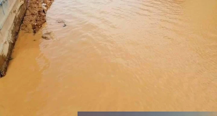 موجز أخبار الوضع السوري ليوم الجمعة 08-03-2019