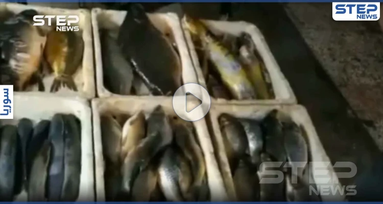 جولة مصورة داخل سوق الهال بمدينة الحسكة