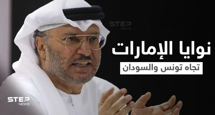 أنور قرقاش يوضح نوايا الإمارات بشأن التطورات الأخيرة في تونس والسودان