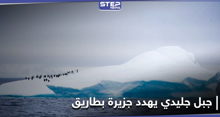 علماء يحذرون من نتائج اصطدام أكبر جبل جليدي في العالم بجزيرة بطاريق