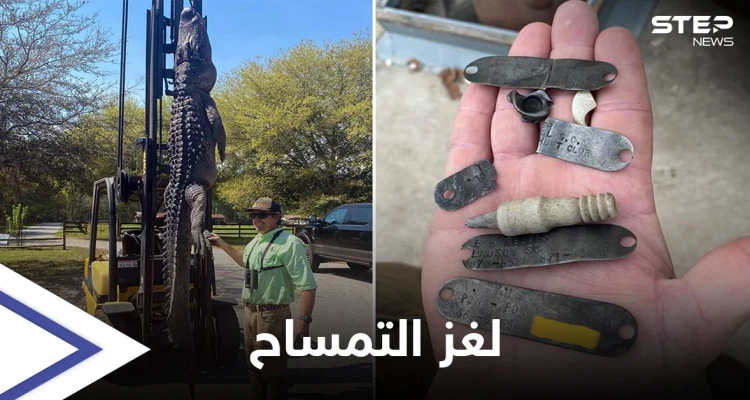شاهد بالصور|| صيد تمساح عملاق يكشف لغز عمره 24 عاماً