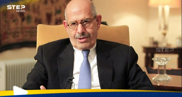 البرادعي يتفاعل على إثارة السيسي لمعاهدة الدفاع العربي المشترك.. ما قصتها؟