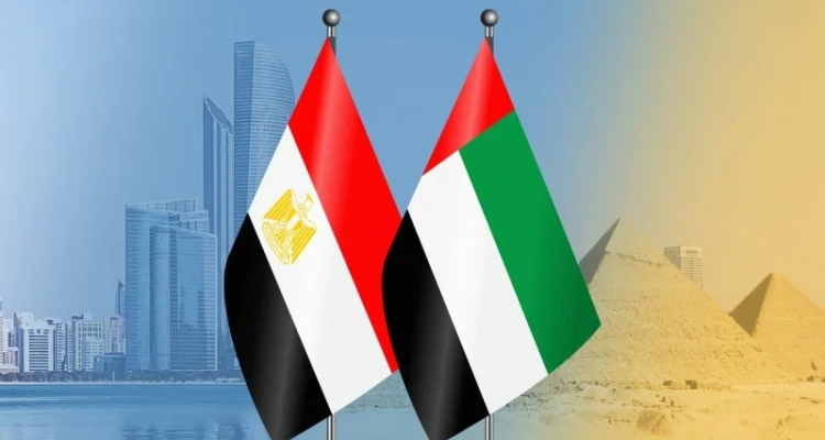 وزير الخارجية المصري يبحث مع نظيره الإماراتي ملفات سوريا و3 دول عربية أخرى.. وحافظ يكشف تفاصيل اللقاء