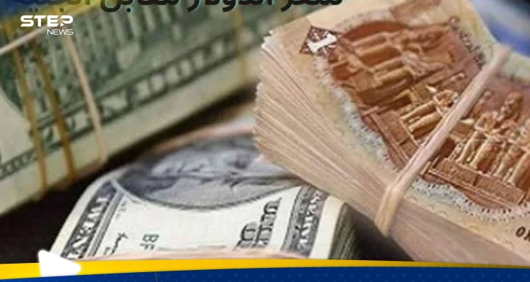 بنك عالمي يصدر توقعات حول مصير الجنيه المصري