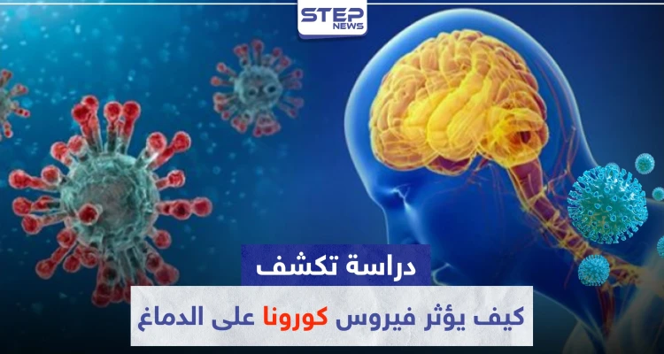 دراسة تكشف كيف يؤثر فيروس "كورونا" على الدماغ.. وهذه مخاطره