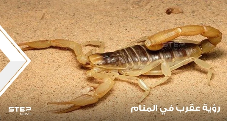 رؤية العقرب في المنام وتفسير لدغته ودلالاتها على الخير والشر