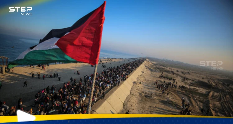 تركيا تعلن ما اتفقت عليه 7 دول عربية وإسلامية بشأن غزة